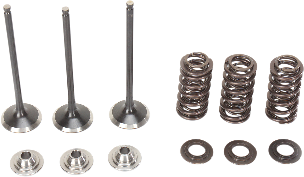 MOOSE OFFROAD Valve and Spring Kit - Yamaha WR250F | YZ250F M80-80850