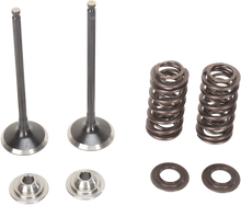 MOOSE OFFROAD Valve and Spring Kit - Yamaha W250F | YZ250F M80-80860