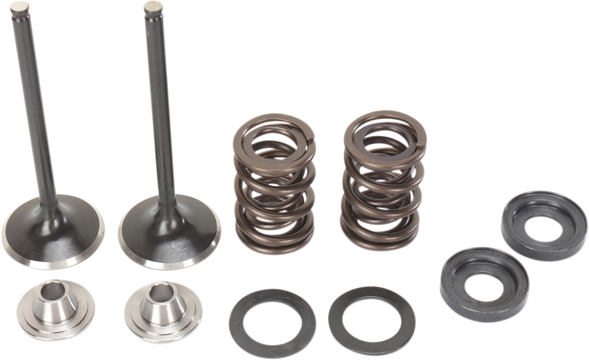 MOOSE OFFROAD Valve and Spring Kit - KTM RSF Engine 400 cc - 560 cc M96-96360