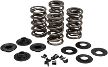 KIBBLEWHITE Valve Spring Kit - 0.650" Lift - Buell | Twin Cam | XL 20-21650
