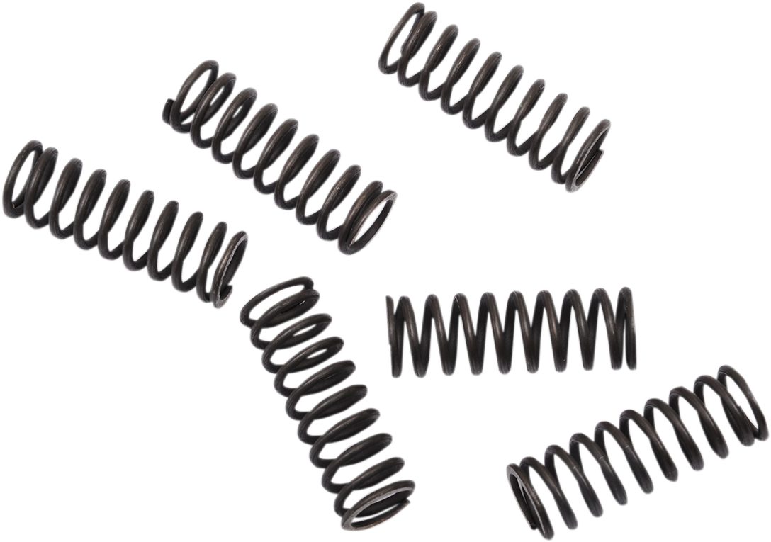 MOOSE OFFROAD Clutch Springs - CRF 450 FHDS155-6