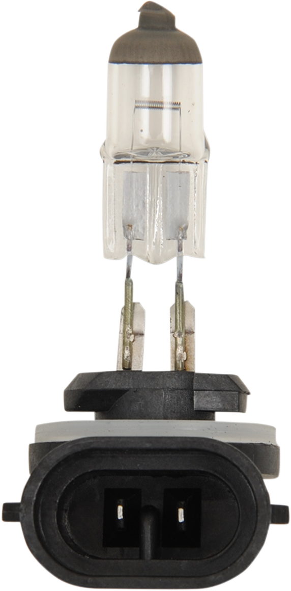 PEAK LIGHTING Halogen Bulb - 894 - 37W 894-BPP