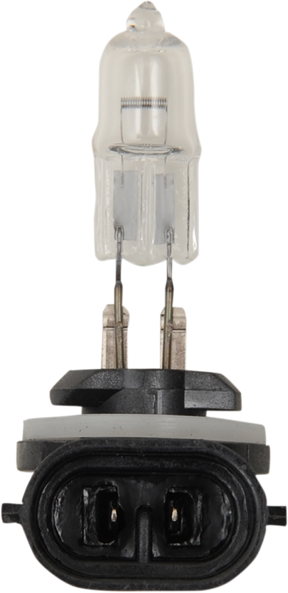 PEAK LIGHTING Halogen Bulb - 886 - 50W 886-BPP