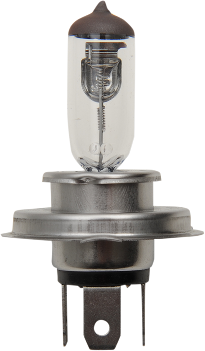 PEAK LIGHTING Halogen Bulb - H4 - 60/55W H4-60/55W-BPP
