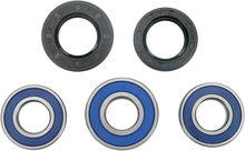 MOOSE OFFROAD Wheel Bearing Kit - Rear - DR/DR-Z 250/350 25-1066