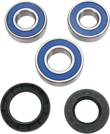 MOOSE OFFROAD Wheel Bearing Kit - Rear - DR 250/350/650 25-1256