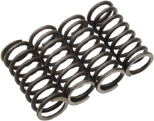 MOOSE OFFROAD Clutch Springs - TTR 125/L MHDS42-4