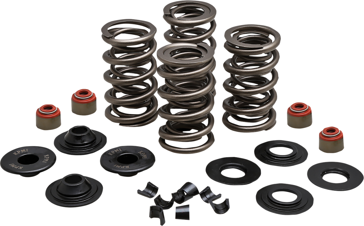KIBBLEWHITE Valve Spring Kit - 0.650" Lift - 88"/96"/103" Twin Cam | Buell | XL | XR 20-23500