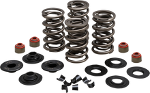 KIBBLEWHITE Valve Spring Kit - 0.650" Lift - 88"/96"/103" Twin Cam | Buell | XL | XR 20-23500