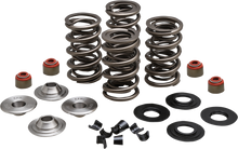 KIBBLEWHITE Valve Spring Kit - 0.650" Lift - 88"/96"/103" Twin Cam | Buell | XL | XR 20-23550