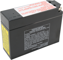 PARTS UNLIMITED AGM Battery - YT4B-BS CT4B-5