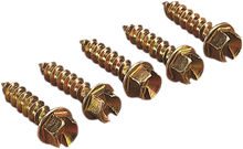 GOLD SCREWS Ice Screws - Gold - 3/8" - 250 12500643