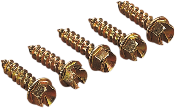 GOLD SCREWS Ice Screws - Gold - 3/8" - 1000 12500644