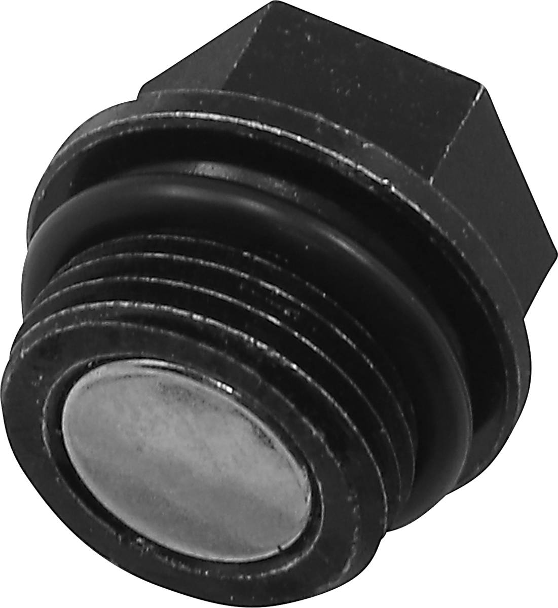 QUAD LOGIC Front Differential Drain Plug and O-Ring 100-2387-PU