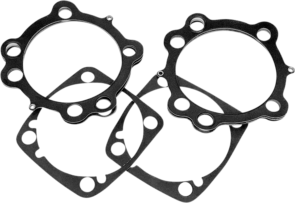 REVOLUTION PERFORMANCE, LLC Gasket Kit - 100"/109" RP9993-030