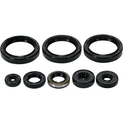 Oil Seal Set