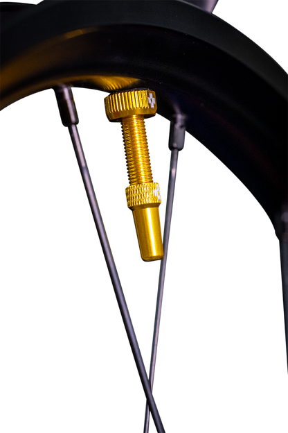 MUC-OFF USA Tubeless Valve Stems - Gold 20426