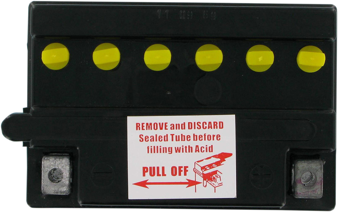 PARTS UNLIMITED Conventional Battery 12N113A1