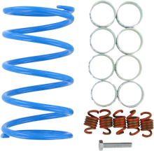 EPI Clutch Kit WE391020