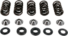 HOT CAMS Valve Spring Kit - Yamaha YFM660R Raptor SKYFM660S2