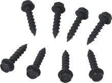 MOOSE OFFROAD Clutch Cover Screw - Polaris 100-3037-PU