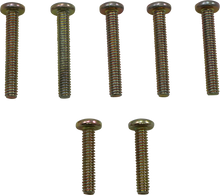 MOOSE OFFROAD Clutch Cover Screw - Polaris 100-5278-PU