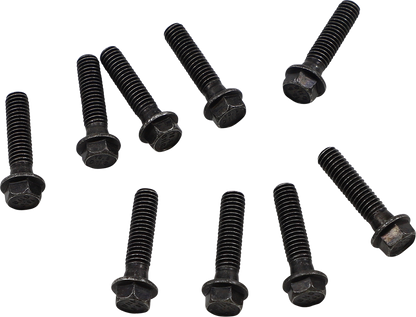MOOSE OFFROAD Clutch Cover Screw - Polaris 100-2185-PU