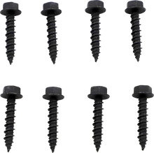 MOOSE OFFROAD Clutch Cover Screw - Polaris 100-3037-PU