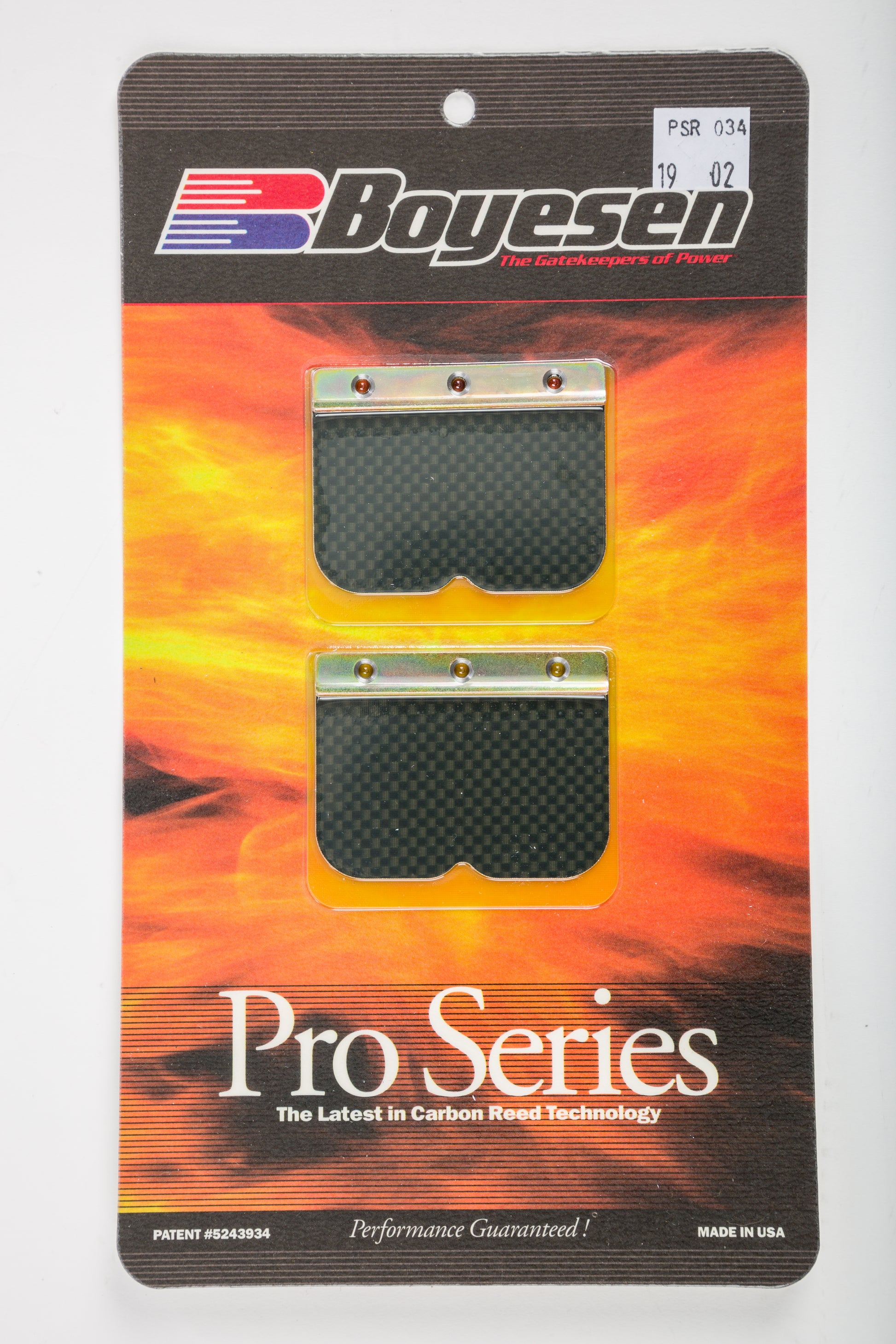 Motorcycle Pro Reeds