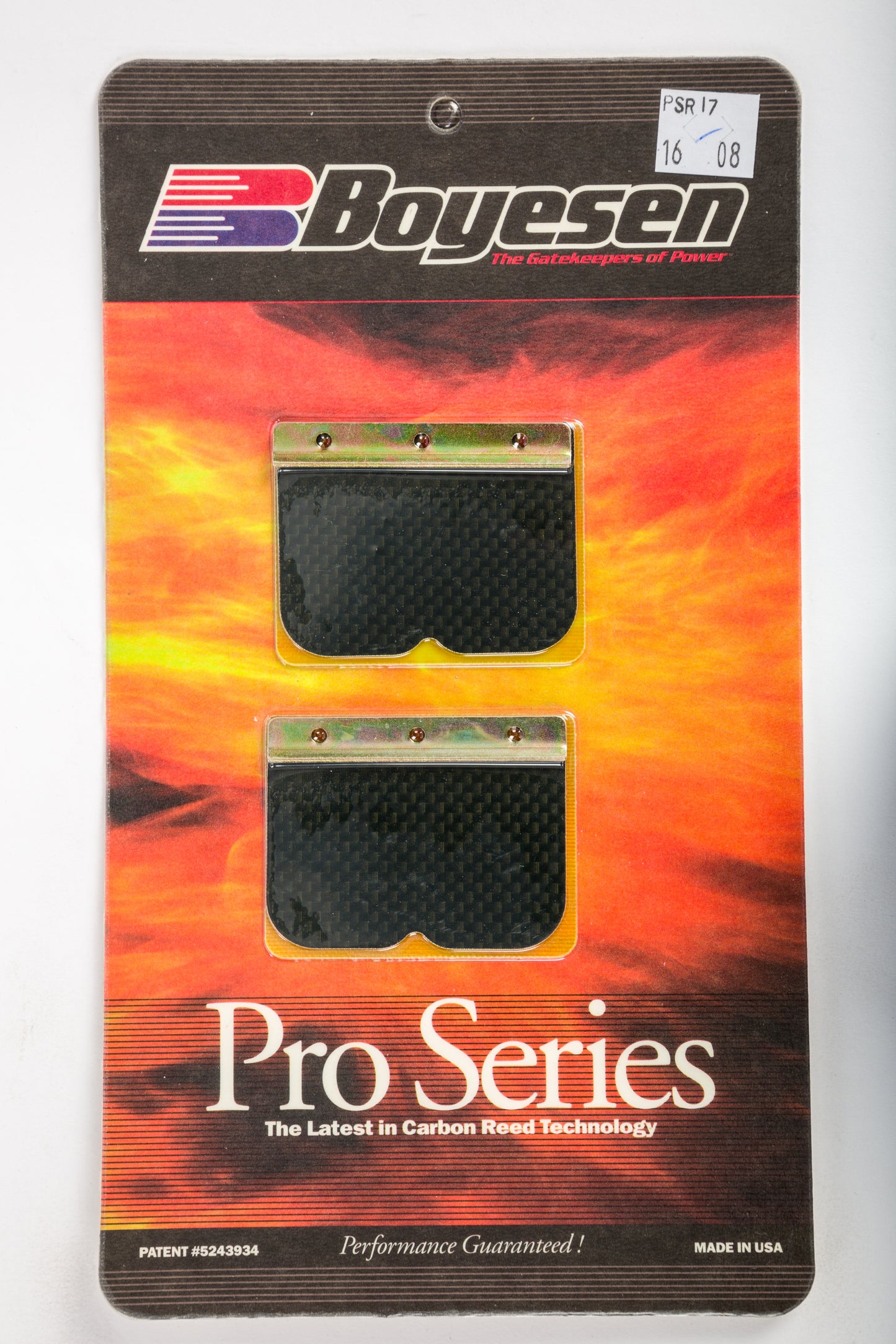 Motorcycle Pro Reeds