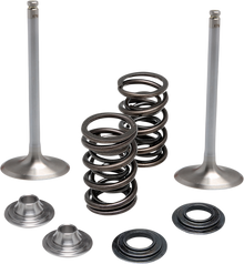 KIBBLEWHITE Valve and Spring Kit - 0.450" Lift - Kawasaki KX250F '20-'21 40-41650