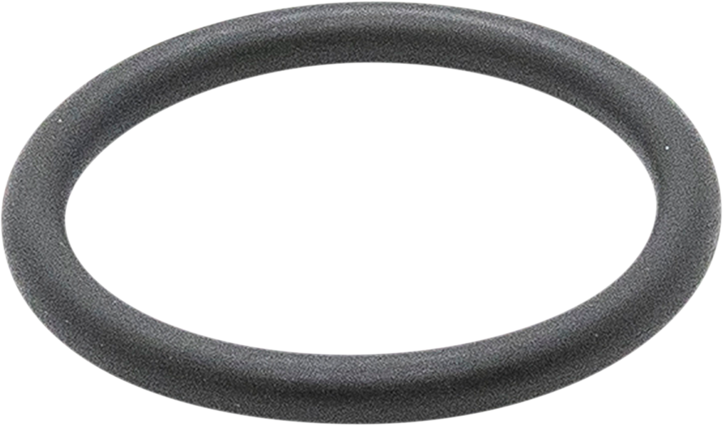 SDI Floating Piston - O-Ring - 48 mm WRFPOR48-PDS