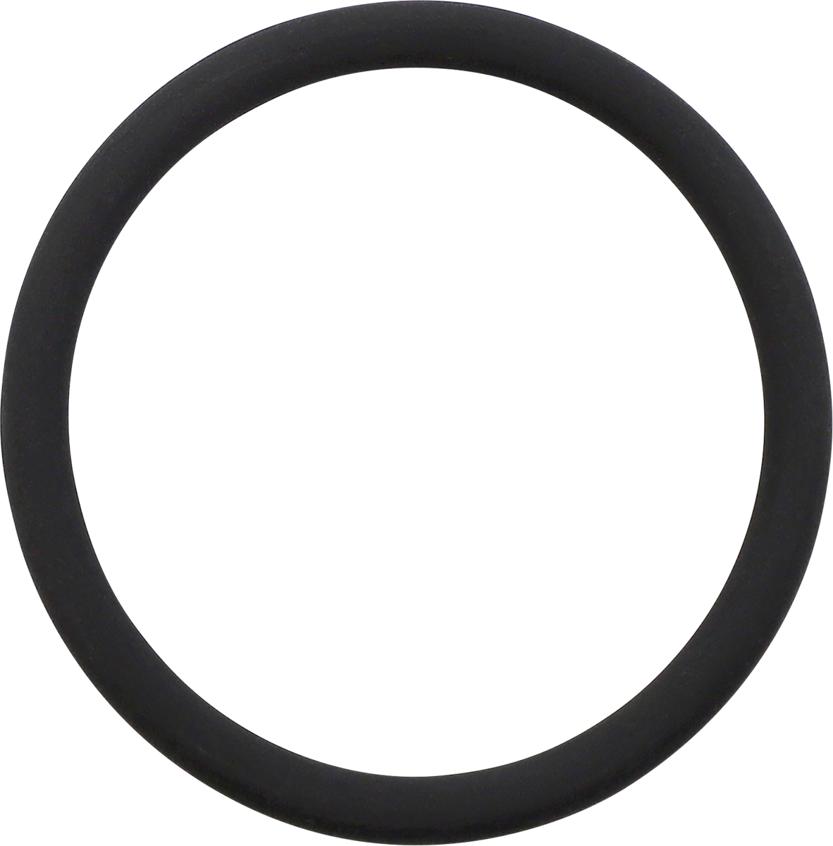 SDI Floating Piston - O-Ring - 50 mm WRFPOR50-16