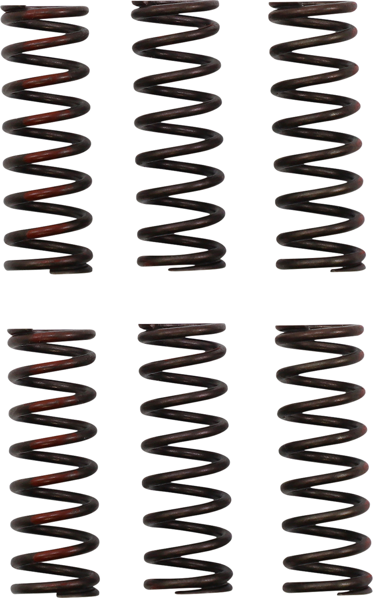 PRO CIRCUIT Clutch Springs - CRF 450R CSH21450-CS
