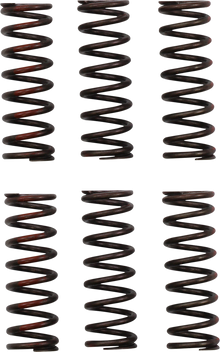 PRO CIRCUIT Clutch Springs - CRF 450R CSH21450-CS