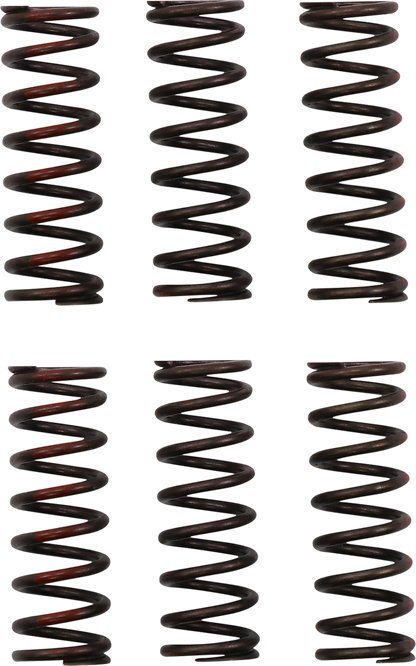PRO CIRCUIT Clutch Springs - CRF 450R CSH21450-CS