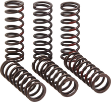 PRO CIRCUIT Clutch Springs - CRF 450R CSH21450-CS