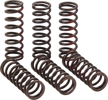 PRO CIRCUIT Clutch Springs - CRF 450R CSH21450-CS