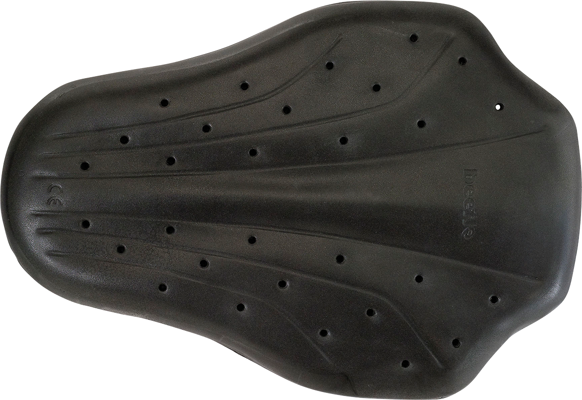 Z1R Back Guard - Black - Medium 2702-0286
