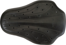 Z1R Back Guard - Black - Small 2702-0285