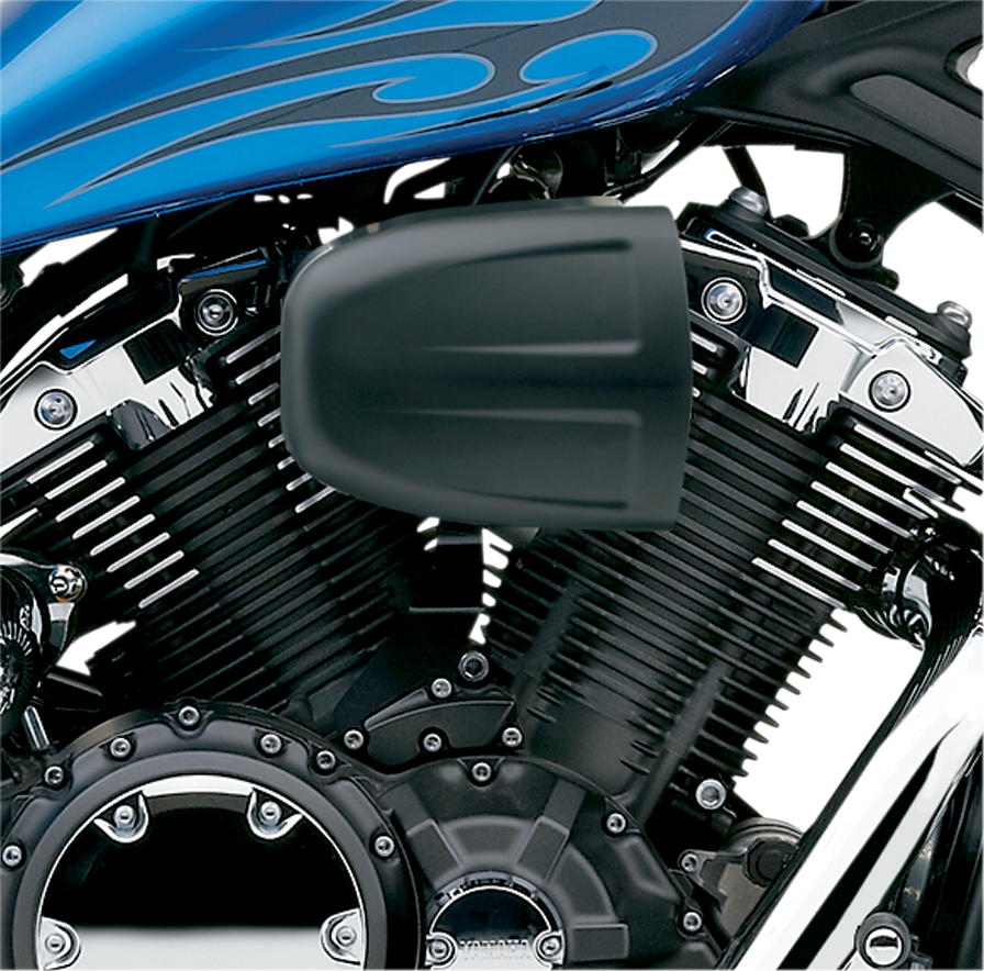 COBRA Air Cleaner Kit - Black 06-0270B-SB