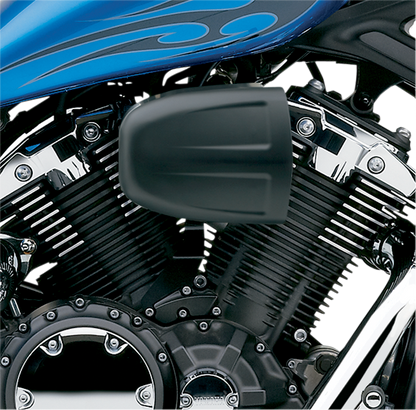 COBRA Air Cleaner Kit - Black 06-0270B-SB