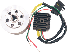 RICK'S MOTORSPORT ELECTRIC Charging Kit - Honda 99-111