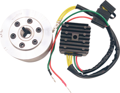 RICK'S MOTORSPORT ELECTRIC Charging Kit - Honda 99-111
