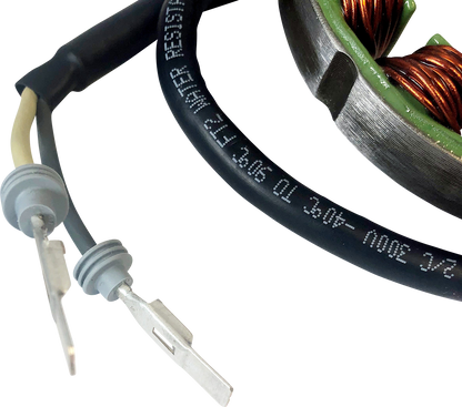 RICK'S MOTORSPORT ELECTRIC Stator - '97-'98 Ducati 21-039
