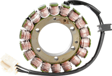 RICK'S MOTORSPORT ELECTRIC Stator - '02-'13 FSC600 Silver Wing 21-154