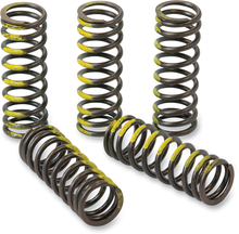 PRO CIRCUIT Clutch Springs - RM 85 CSS12085