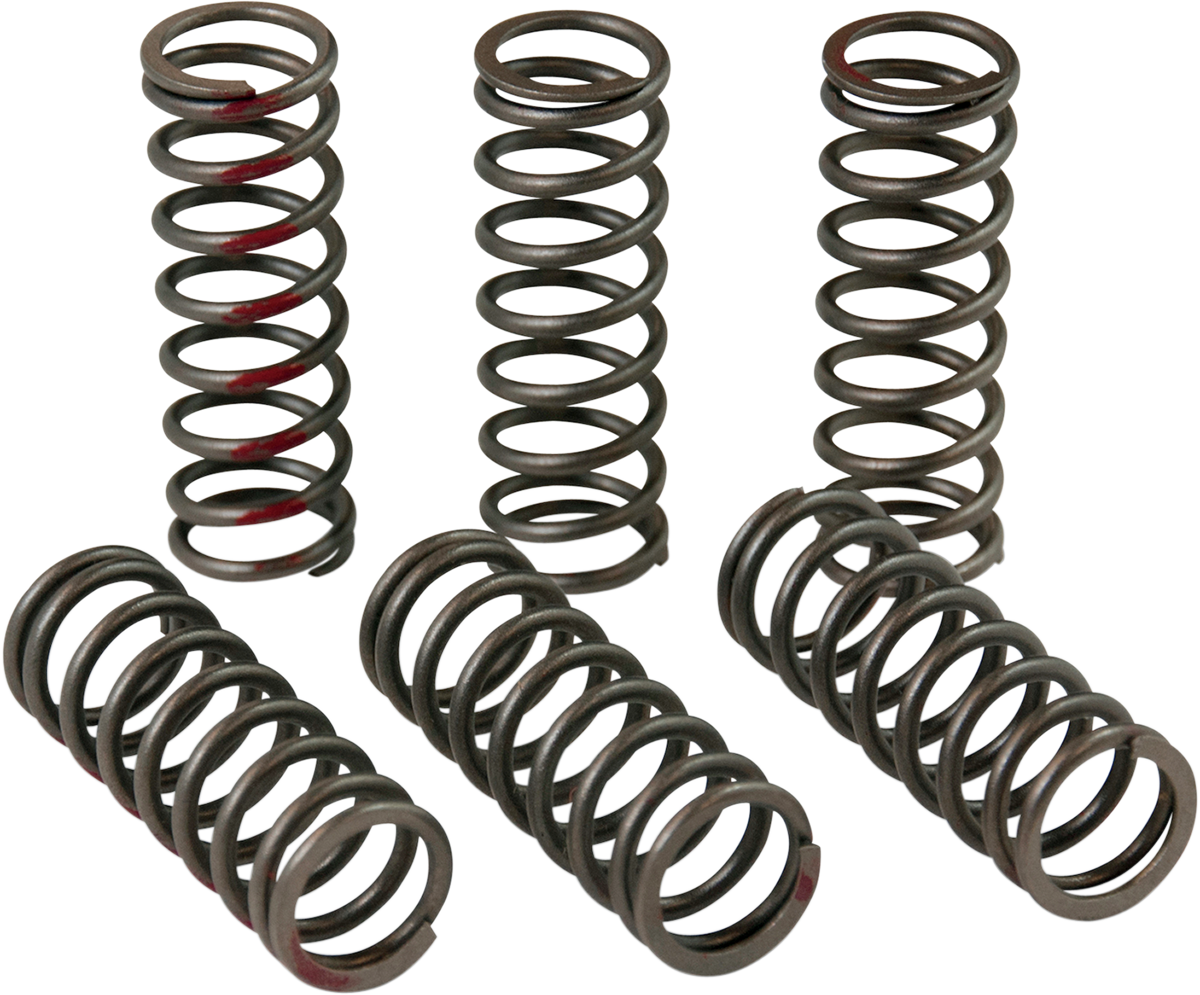 PRO CIRCUIT Clutch Springs - CRF 450R CSH13450-CS