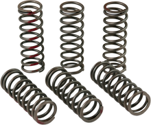 PRO CIRCUIT Clutch Springs - CRF 450R CSH13450-CS