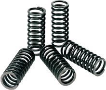 PRO CIRCUIT Clutch Springs - Kawasaki CSK09085